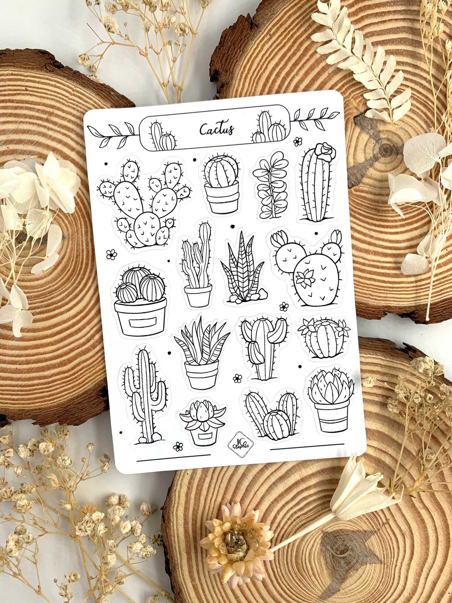 Stickers à colorier "Cactus"