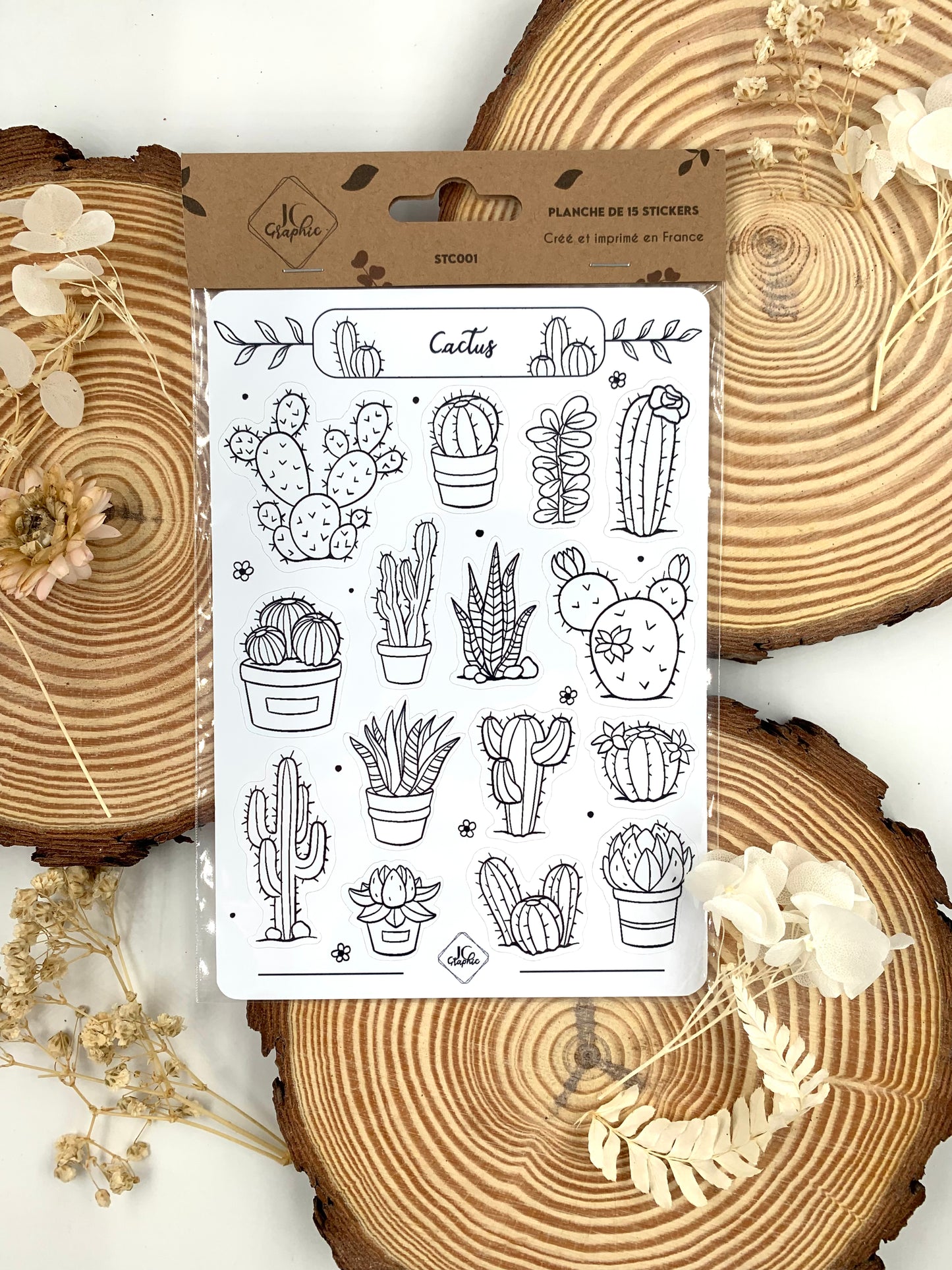 Stickers à colorier "Cactus"