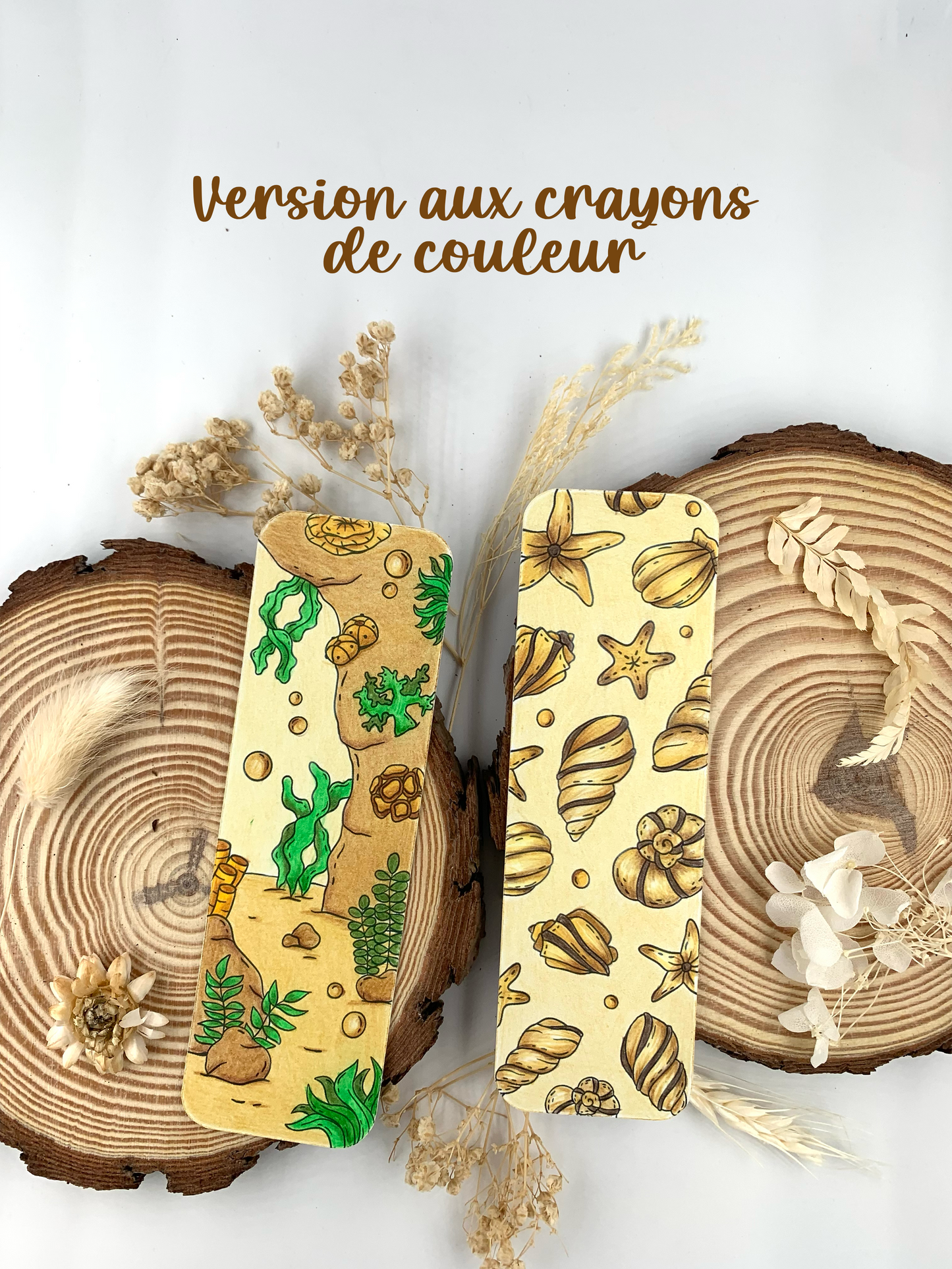 Marque page à colorier "Coquillages"