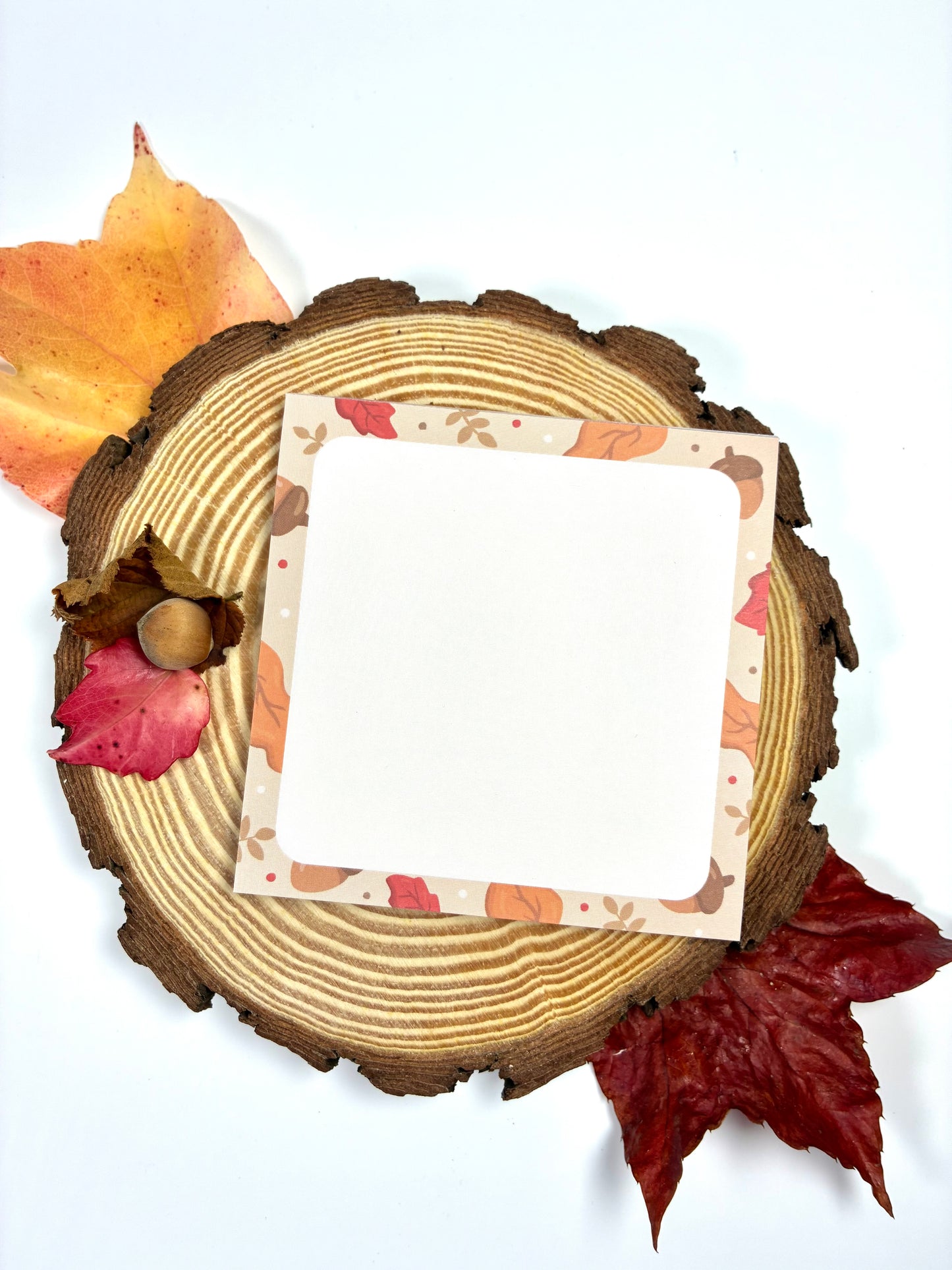 Lot de 3 blocs notes "Automne"