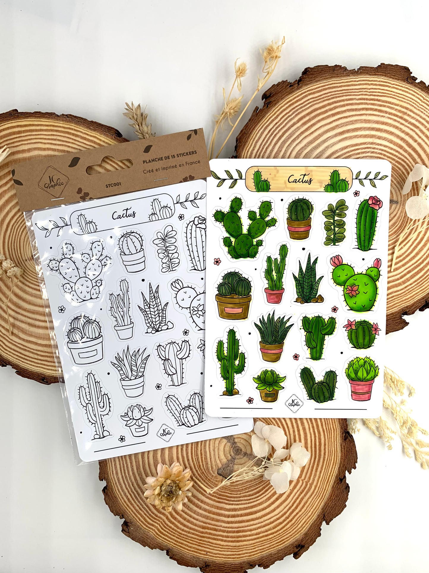 Stickers à colorier "Cactus"