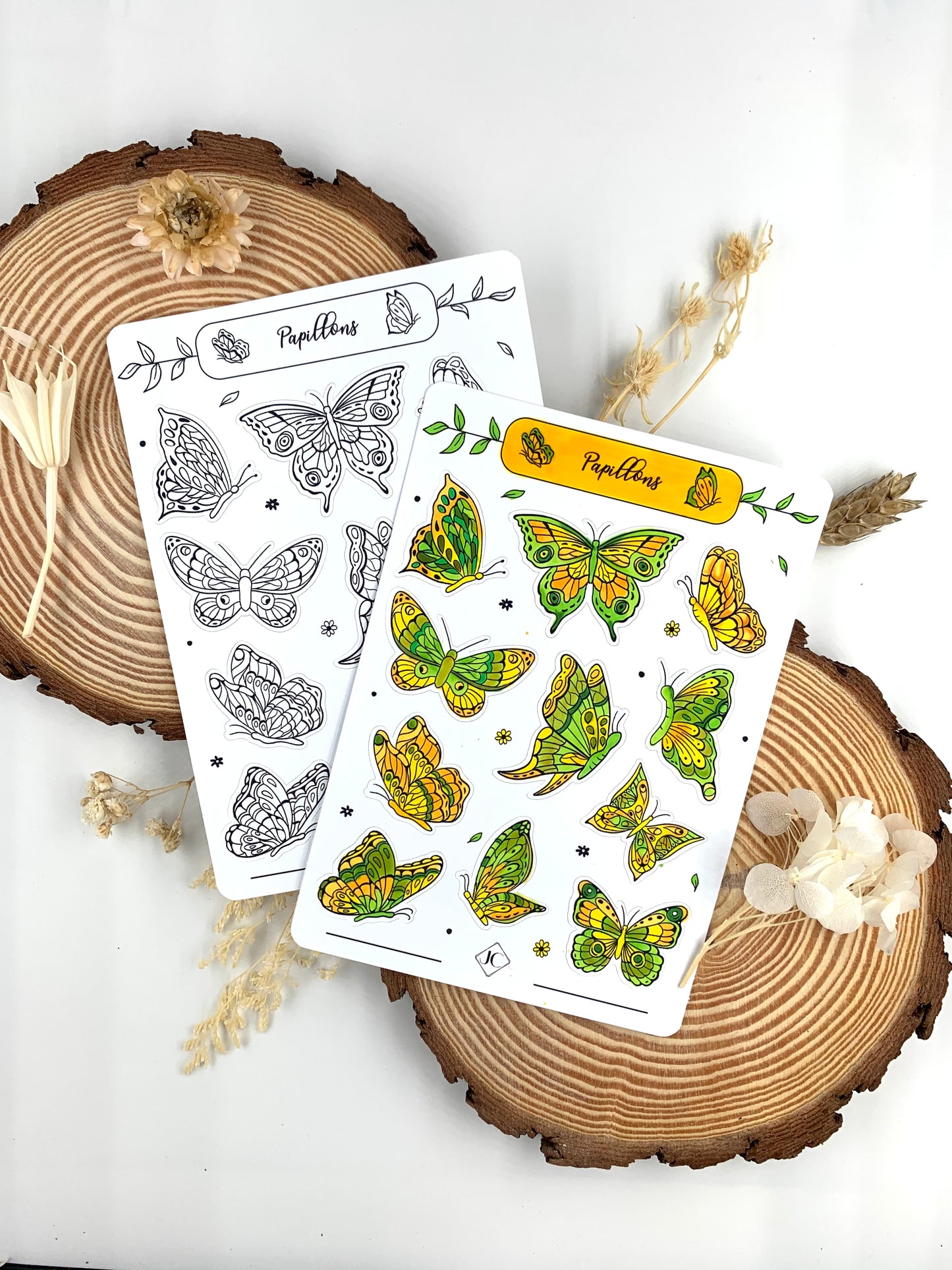 Stickers à colorier "Papillons"