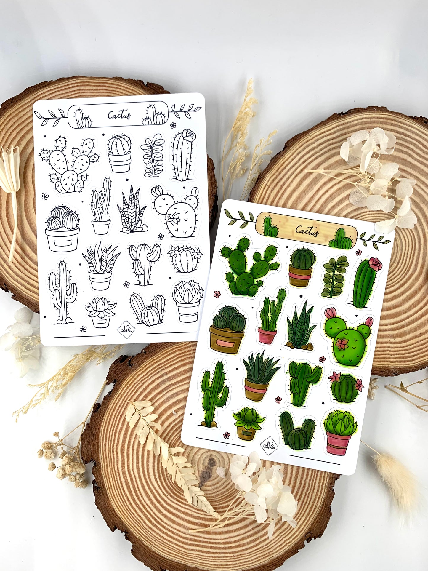 Lot de 5 planches de stickers à colorier thème "Faune et Flore"