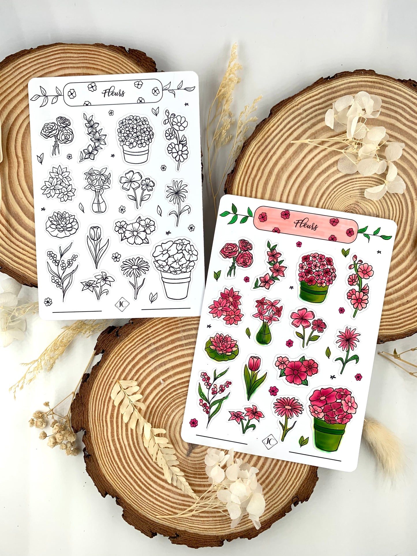 Lot de 5 planches de stickers à colorier thème "Faune et Flore"