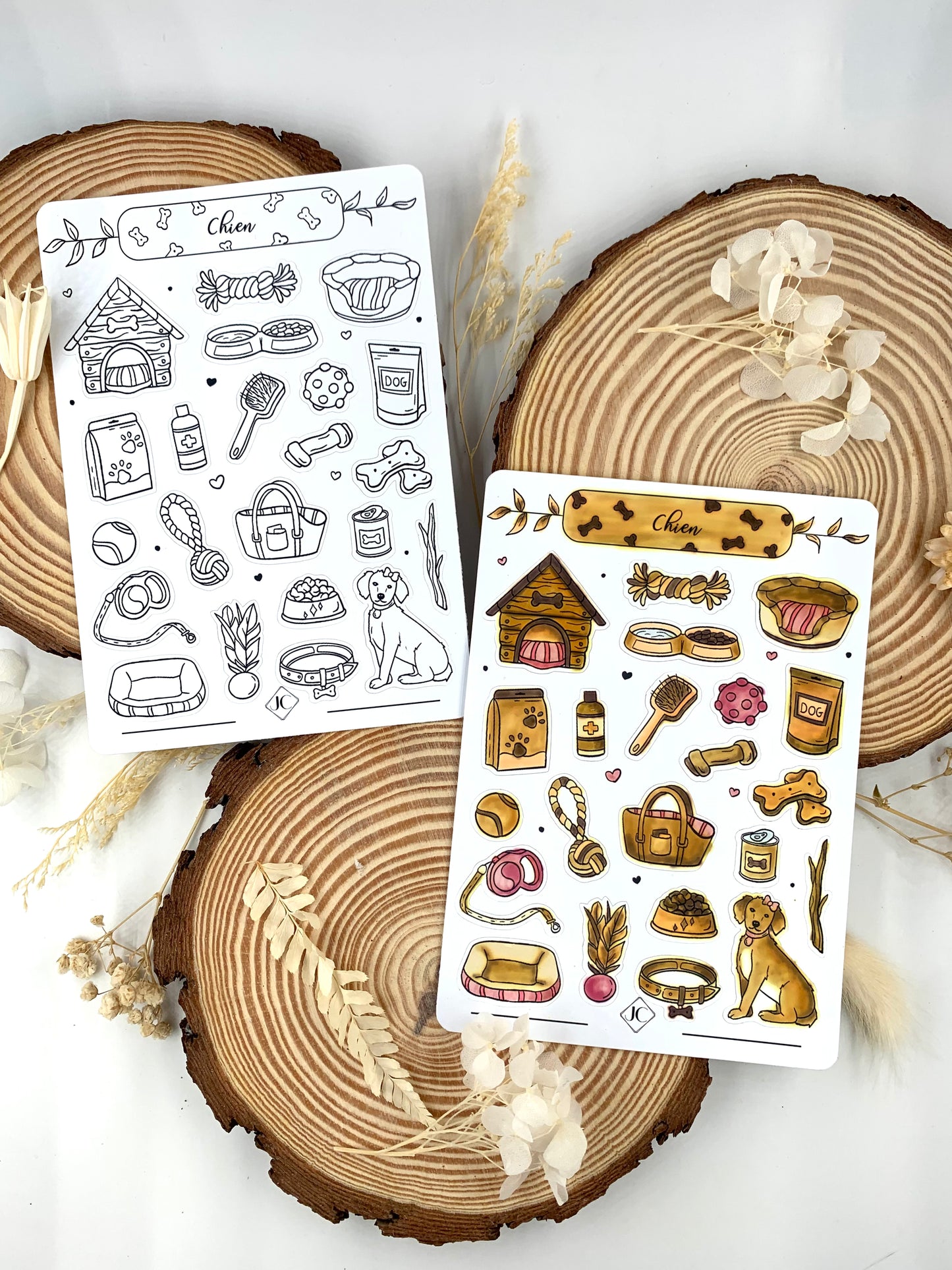Lot de 5 planches de stickers à colorier thème "Faune et Flore"