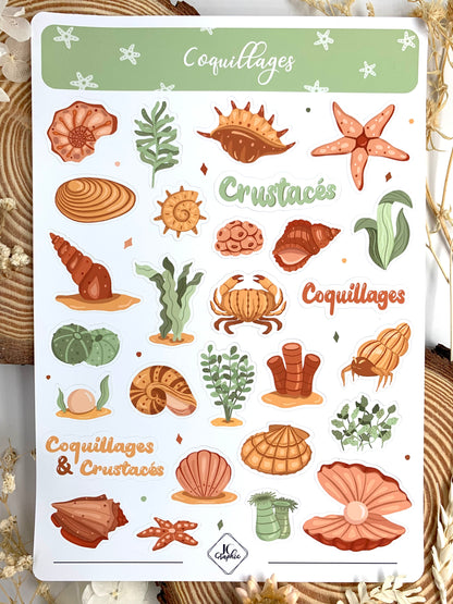 Stickers "Coquillages"