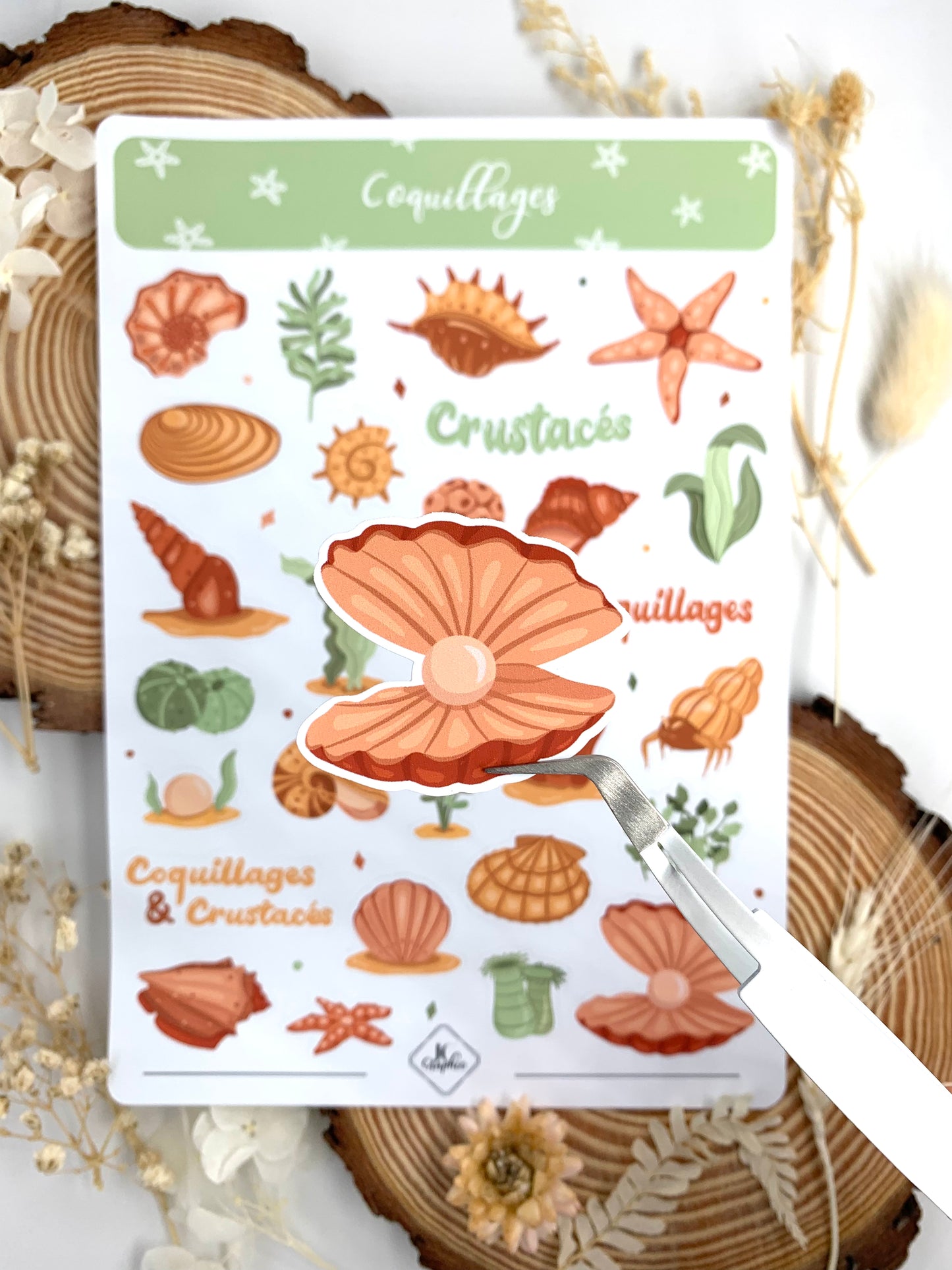 Stickers "Coquillages"