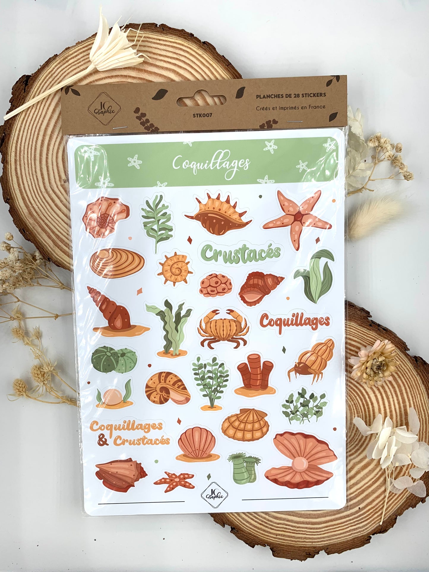 Stickers "Coquillages"